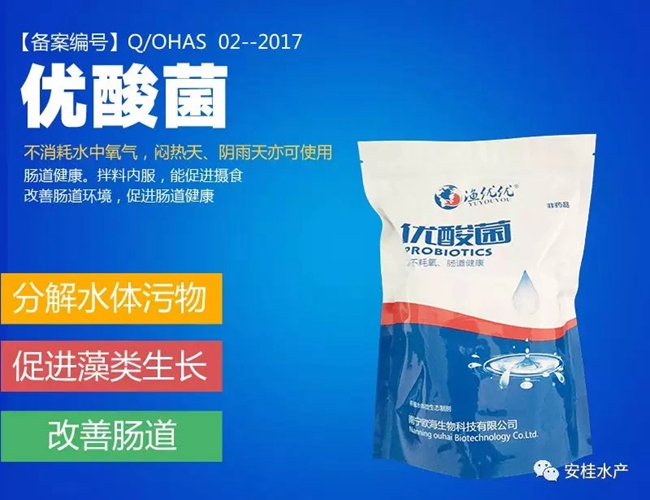 1.webp.jpg 1.webp.jpg