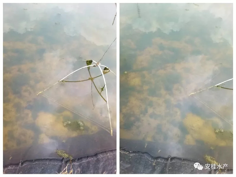 1.webp.jpg 1.webp.jpg