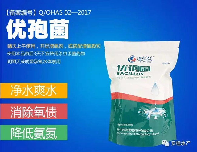 3.webp.jpg 3.webp.jpg