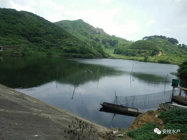 4.webp.jpg 4.webp.jpg