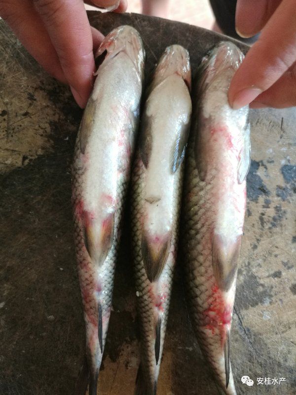 640 (1).jpg 640 (1).jpg