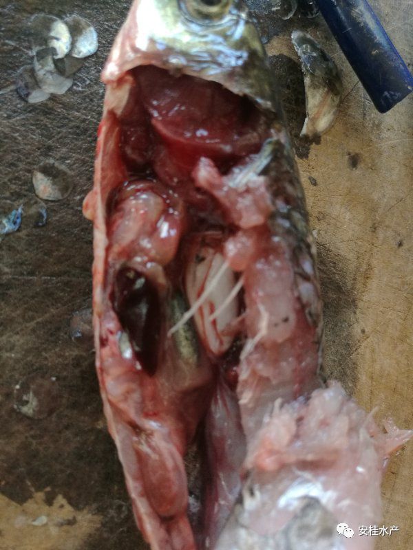 640 (2).jpg 640 (2).jpg