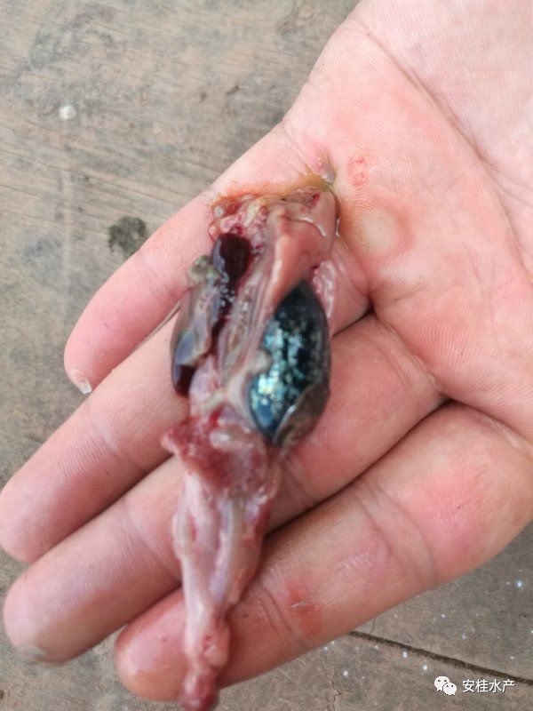 640 (3).jpg 640 (3).jpg