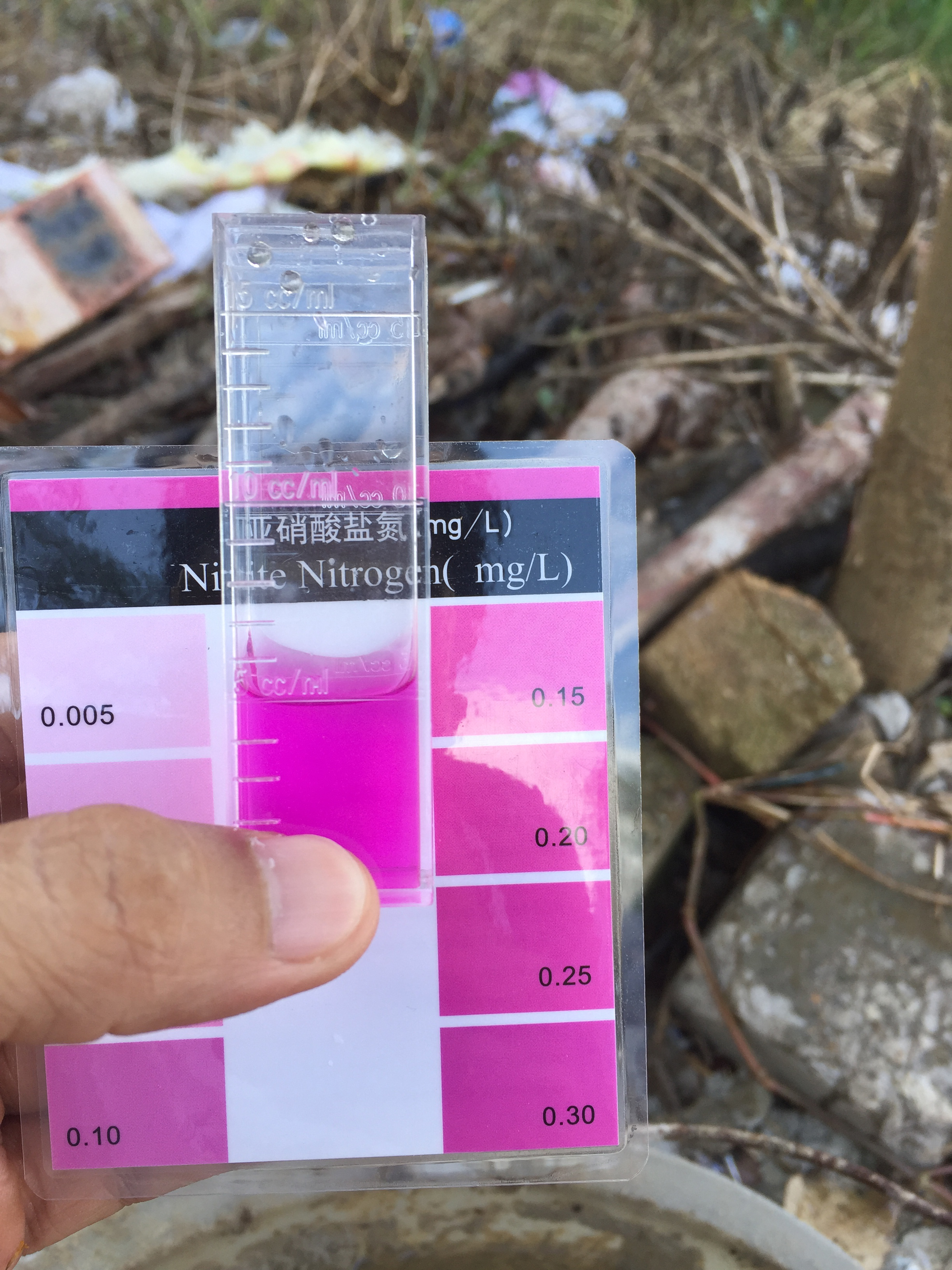 亞鹽.jpg 亞鹽.jpg