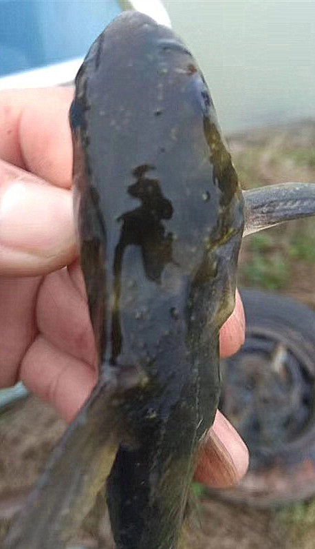 微信圖片_20190325104400_副本.jpg 微信圖片_20190325104400_副本.jpg