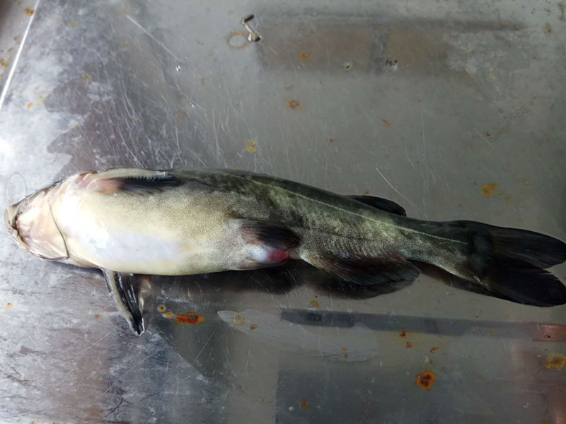 微信圖片_20190415081517_副本.jpg 微信圖片_20190415081517_副本.jpg