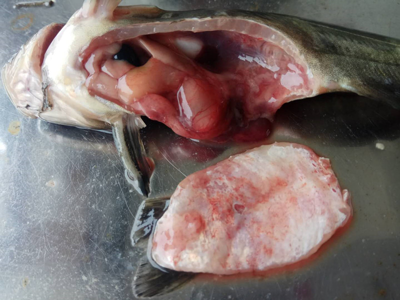 微信圖片_20190415081514_副本.jpg 微信圖片_20190415081514_副本.jpg