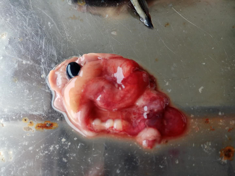 微信圖片_20190415081502_副本.jpg 微信圖片_20190415081502_副本.jpg