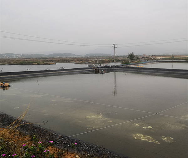 圖片3_副本_副本.png 圖片3_副本_副本.png