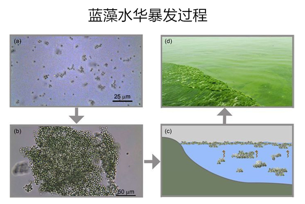 t0146b999fbb4161330_副本_副本.jpg t0146b999fbb4161330_副本_副本.jpg