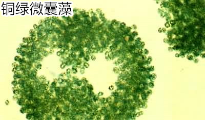 8_510_24_0_副本.jpg 8_510_24_0_副本.jpg