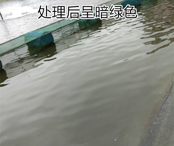 處理藍(lán)藻之后照片2_副本.jpg 處理藍(lán)藻之后照片2_副本.jpg