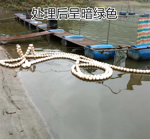 處理藍(lán)藻之后照片3_副本.jpg 處理藍(lán)藻之后照片3_副本.jpg