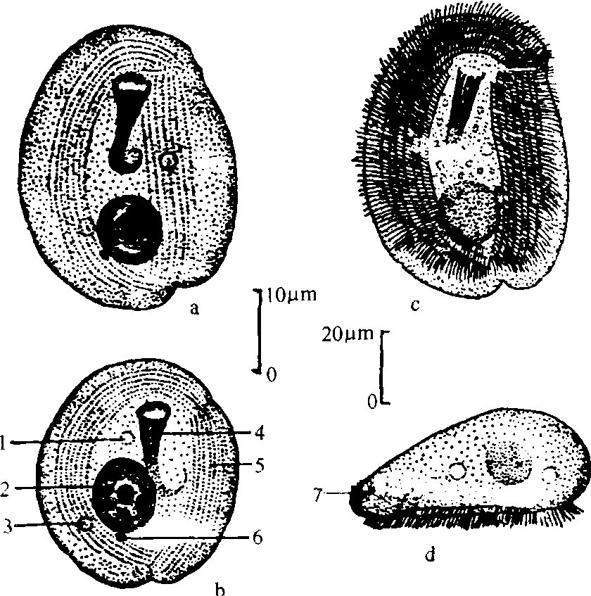 t011f050625c39f6a36_副本.png t011f050625c39f6a36_副本.png