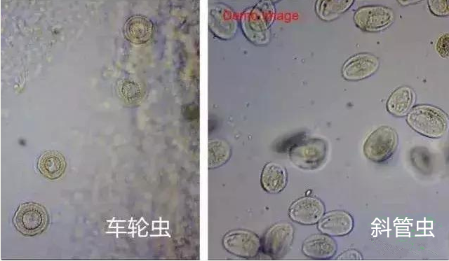 1557801145(1)_副本.png 1557801145(1)_副本.png