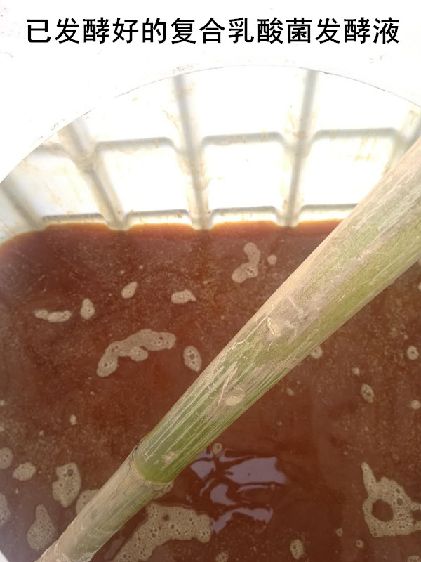 微信圖片_20190516084201_副本.jpg 微信圖片_20190516084201_副本.jpg