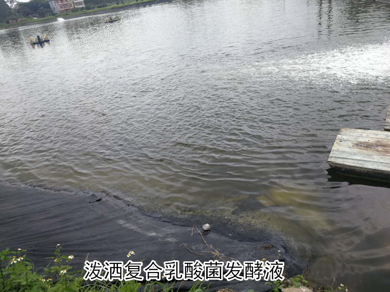 微信圖片_20190516084157_副本.jpg 微信圖片_20190516084157_副本.jpg