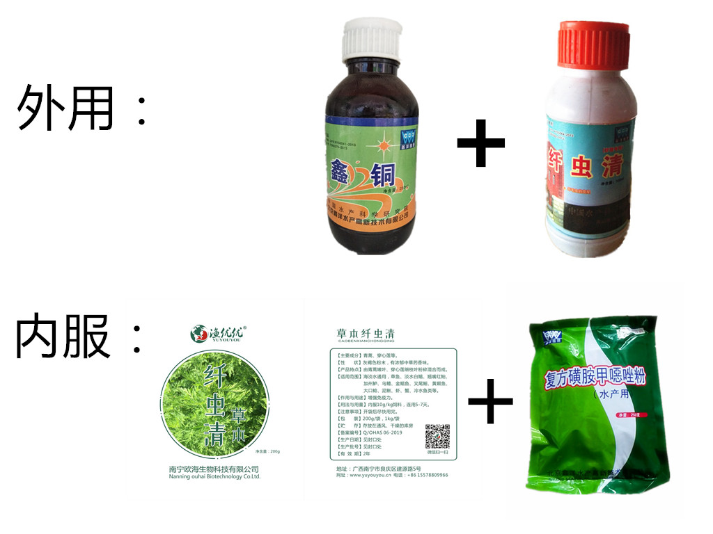 11629_副本.jpg 11629_副本.jpg