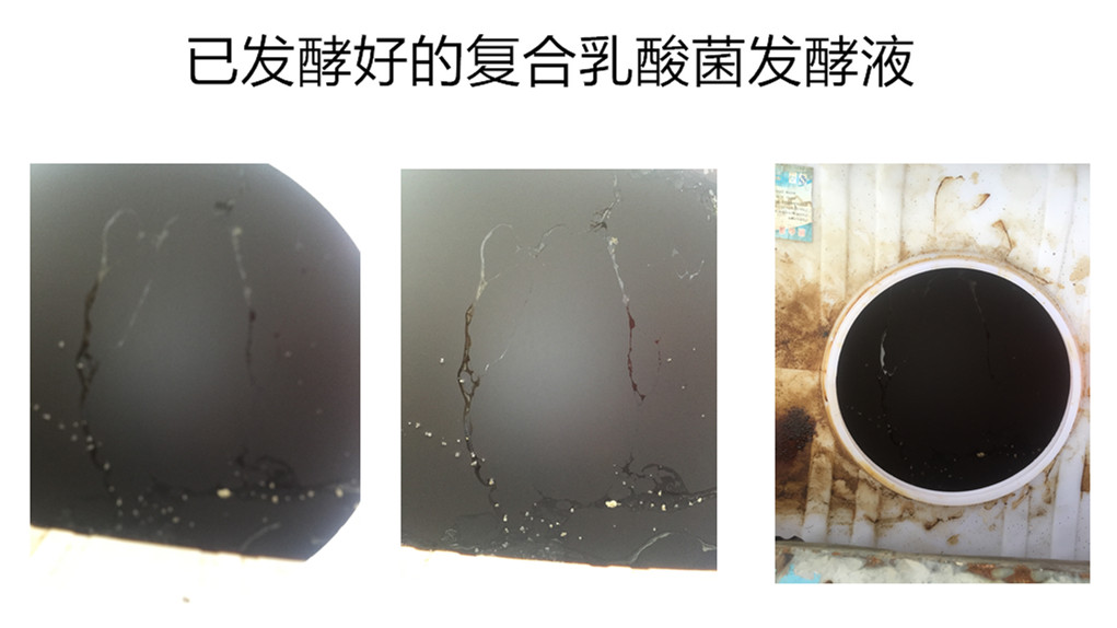 7521f5ae823f8286745400edec52018d_副本.jpg 7521f5ae823f8286745400edec52018d_副本.jpg