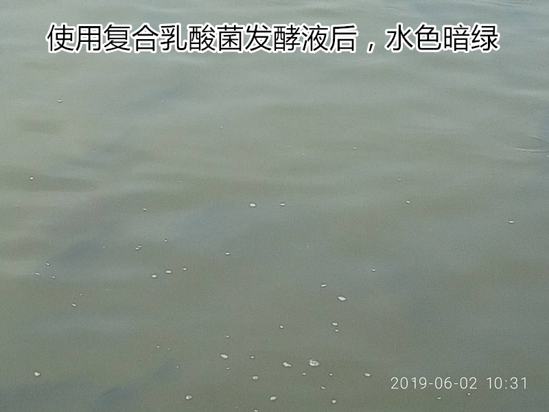 微信圖片_20190610123534_副本.jpg 微信圖片_20190610123534_副本.jpg