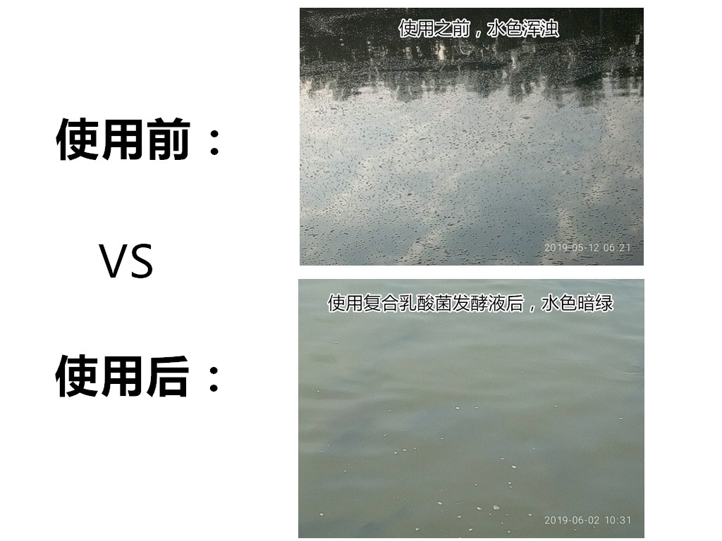 微信圖片_20190610123628_副本_副本.jpg 微信圖片_20190610123628_副本_副本.jpg