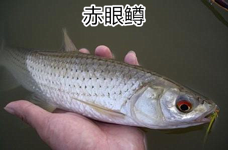 t011c8b923b4260c4e0_副本.png t011c8b923b4260c4e0_副本.png