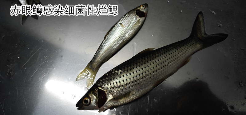 微信圖片_20190621084103_副本.jpg 微信圖片_20190621084103_副本.jpg