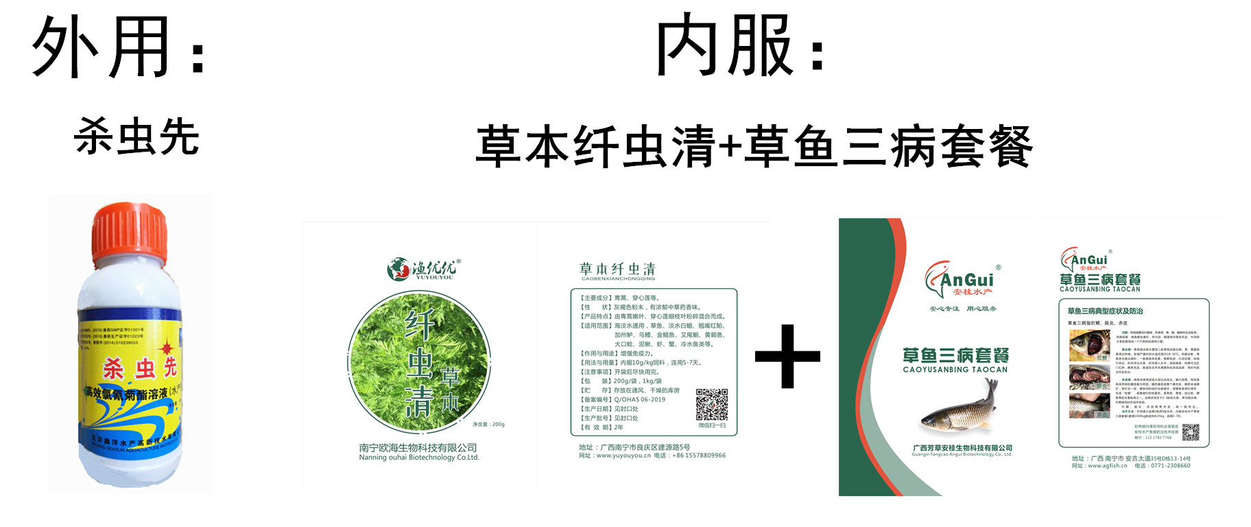 殺蟲先222_副本.jpg 殺蟲先222_副本.jpg