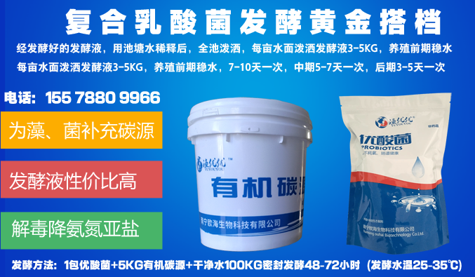 復(fù)合乳酸菌發(fā)酵黃金搭檔.png 復(fù)合乳酸菌發(fā)酵黃金搭檔.png