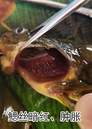 微信圖片_20190718202046_副本.jpg 微信圖片_20190718202046_副本.jpg